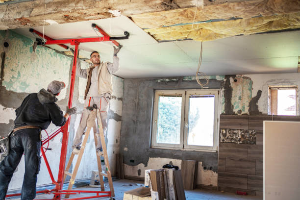 Best Insulation Maintenance and Repair in Langhorne, PA